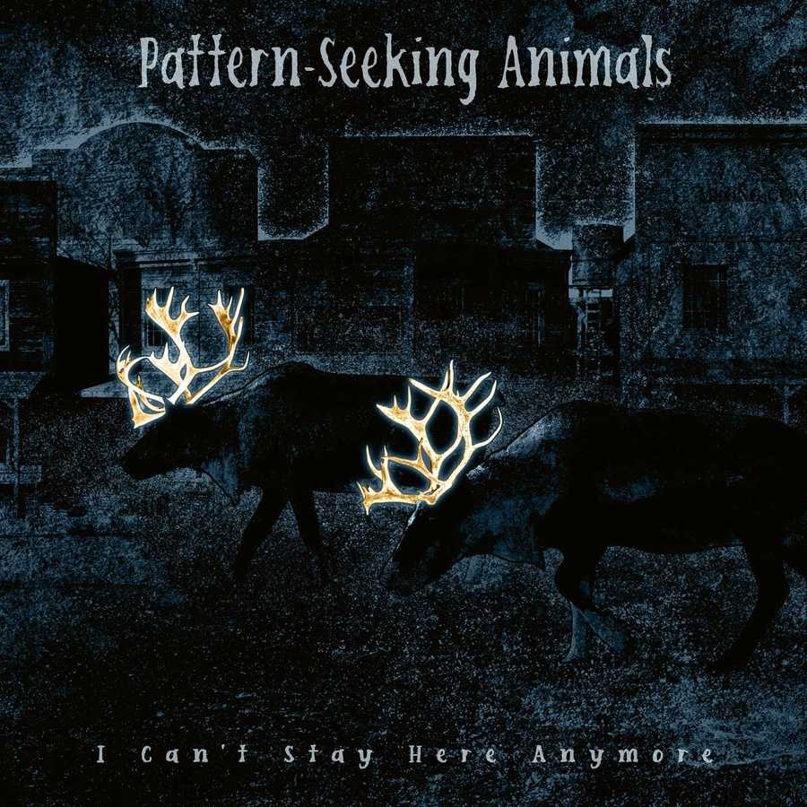 Pattern-Seeking Animals - I Cant Stay Here Anymore